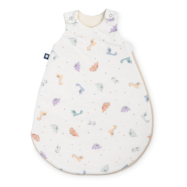 Sky baby sleeping bag - Little Dinos